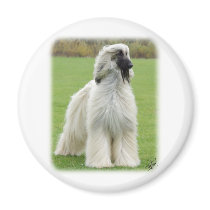 Afghan Hound 9Y247D-010 Fridge Magnet