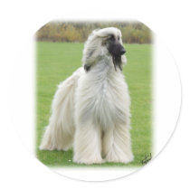 Afghan Hound 9Y247D-010 Round Sticker