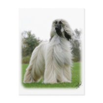 Afghan Hound 9Y247D-025 Post Cards