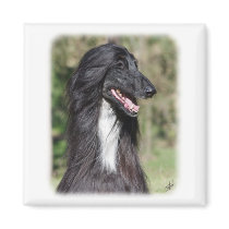 Afghan Hound AA017D-101 Fridge Magnet