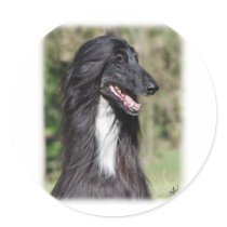 Afghan Hound AA017D-101 Round Stickers