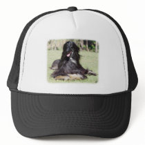 Afghan Hound AA017D-115 Trucker Hats