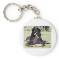 Afghan Hound AA017D-115 Keychain