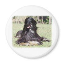 Afghan Hound AA017D-115 Refrigerator Magnet