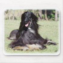 Afghan Hound AA017D-115 Mouse Mat