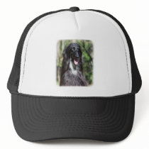 Afghan Hound AA017D-119 Hat