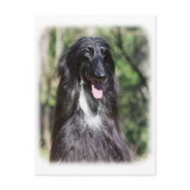 Afghan Hound AA017D-119 Post Cards