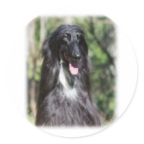 Afghan Hound AA017D-119 Round Sticker