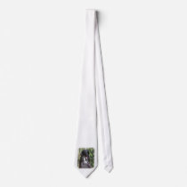 Afghan Hound AA017D-119 Tie