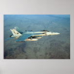 AFGHAN TOMCATTER POSTERS