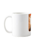Aflatus mug