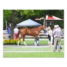 Afleet Bird Art Photo