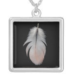 Afrfican Grey Parrot feather Necklace