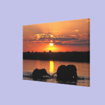 Africa, Botswana, Chobe National Park, Herd of canvas prints