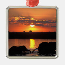 Africa, Botswana, Chobe National Park, Herd of Christmas Ornament