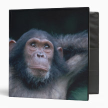 Africa, East Africa, Tanzania, Gombe National 2 Vinyl Binder