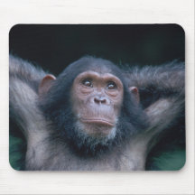 Africa, East Africa, Tanzania, Gombe National 2 Mousepads