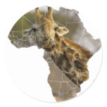 Africa Giraffe Round Stickers