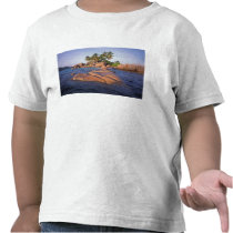 Africa, Indian Ocean, Seychelles, Praslin Tees