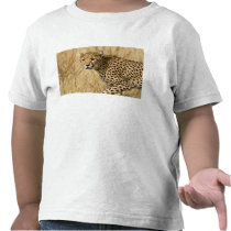 Africa. Kenya. Cheetah at Samburu NP. T-shirt