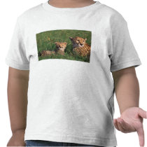 Africa, Kenya, Masai Mara Game Reserve. Cheetah T Shirts