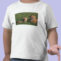 Africa, Kenya, Masai Mara Game Reserve. Cheetah t-shirts