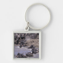 Africa, Kenya, Masai Mara National Park. Key Chains