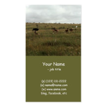 Africa Kenya wild animals Business Card Templates