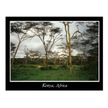 Africa Kenya wild land Post Card