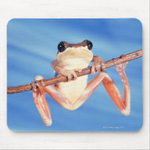 Africa Mouse Pad