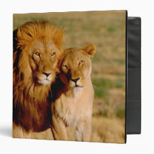 Africa, Namibia, Okonjima. Lion & lioness Binders