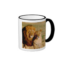 Africa, Namibia, Okonjima. Lion & lioness Coffee Mugs