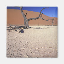Africa, Namibia, Sossusvlei Region. Sand dunes Fridge Magnets