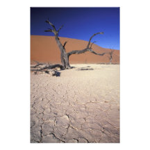 Africa, Namibia, Sossusvlei Region. Sand dunes Photo Print