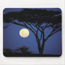 Africa, Tanzania, Tarangire. Acacia tree in Mousepad