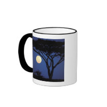 Africa, Tanzania, Tarangire. Acacia tree in Mugs