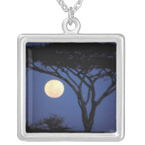 Africa, Tanzania, Tarangire. Acacia tree in Personalized Necklace