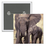 Africa, Tanzania, Tarangire National Park. 2 Pinback Button