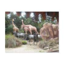 African Animals Postcards