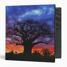 African baobab tree, Adansonia digitata, 2 Vinyl Binder