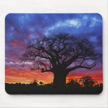 African baobab tree, Adansonia digitata, 2 Mouse Pads