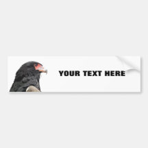 African Bateleur Eagle Wildlife Art Bumper Sticker
