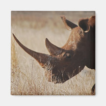 African black rhino with big horns fridge magnet