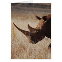 African black rhino with big horns greeting card