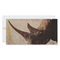 African black rhino with big horns photo greeting card