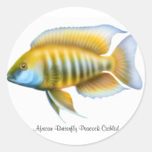 African Butterfly Peacock Cichlid Round Sticker