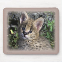 african_cerval_kitten mousepads