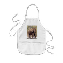 African_Elephant_006, African Elephant Apron