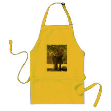 African_Elephant_009, African Elephant Apron