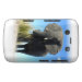 Back (Horizontal)